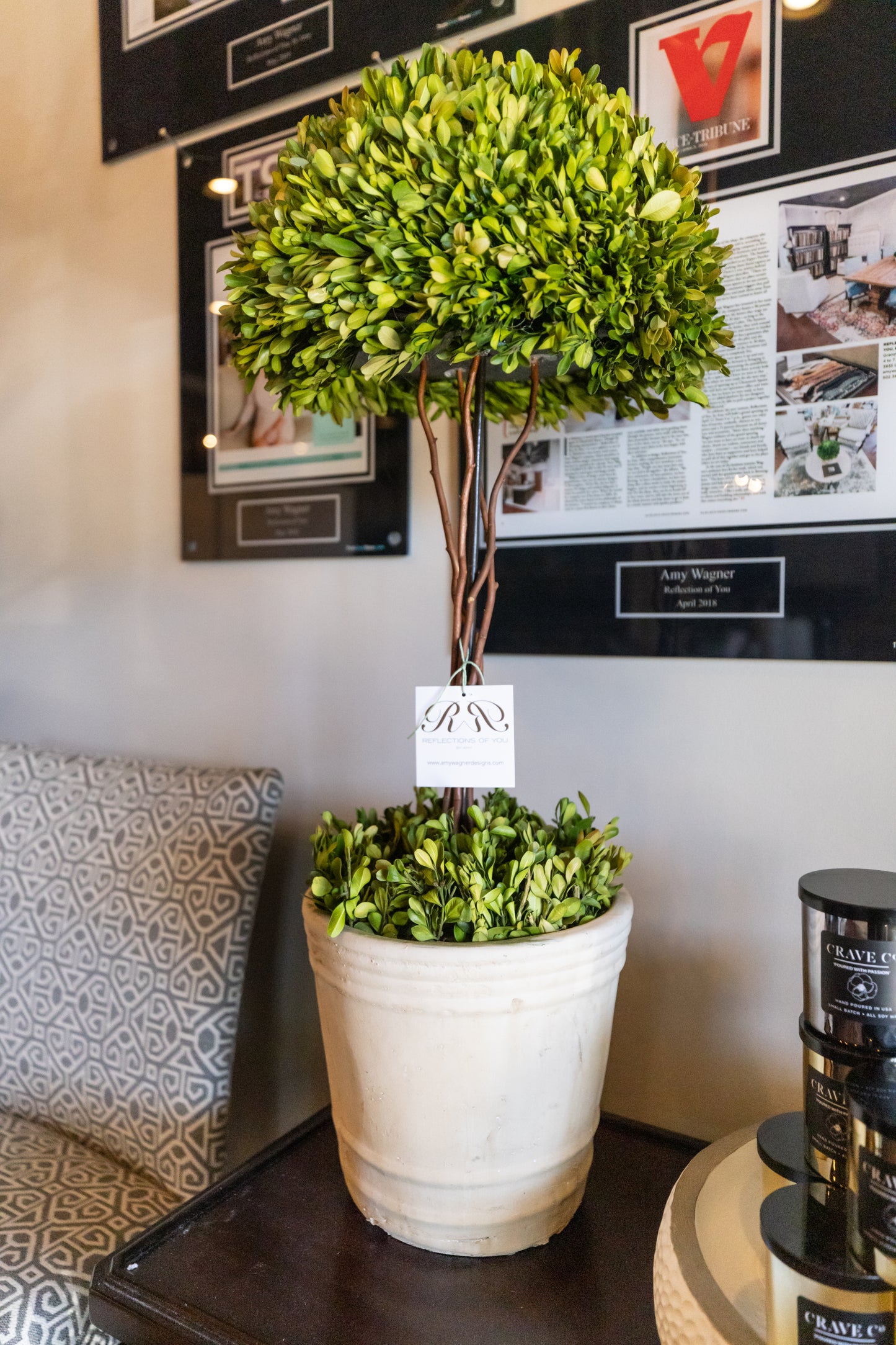 PRESERVED BOXWOOD TOPIARY / BOTANICAL